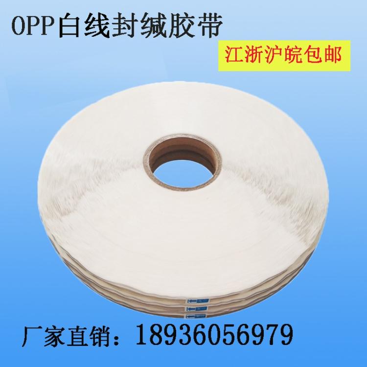 opp白線1.jpg