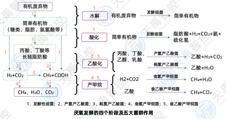 圖片1.jpg