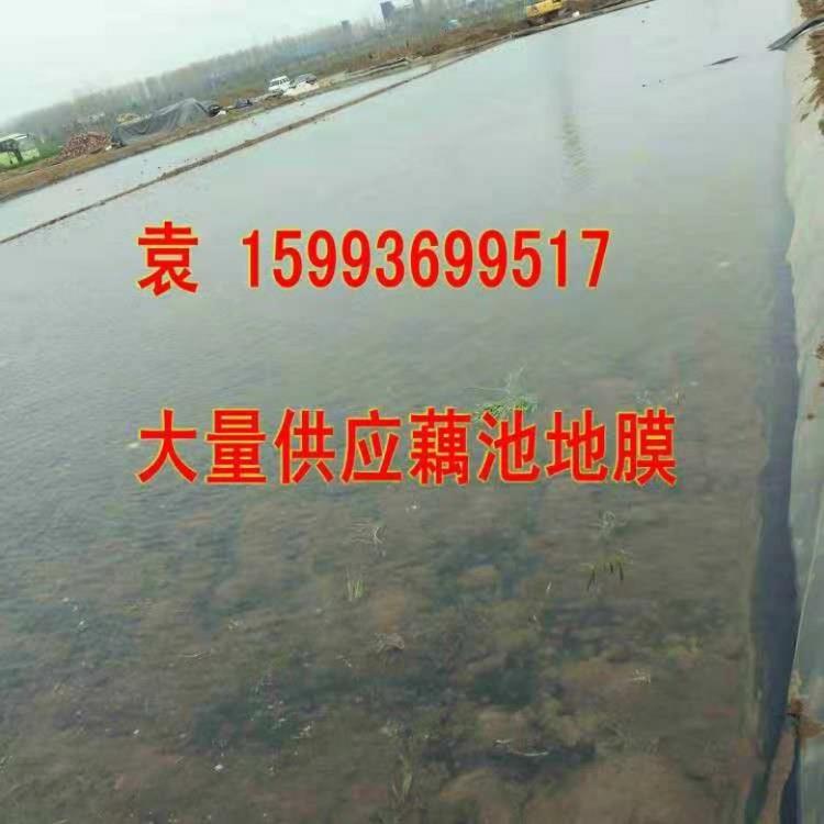 微信圖片_201812031011018_conew1.jpg