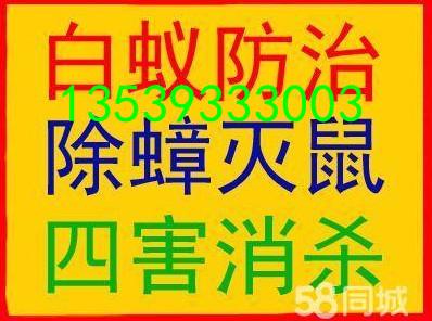 南海区罗村除四害公司杀虫灭白蚁灭蟑螂除臭虫消杀服务