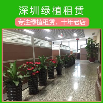 深圳大鹏新区绿植租赁的绿化养护队伍上门护理